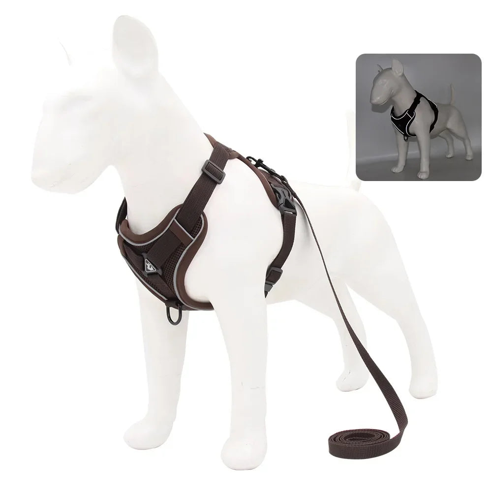 Dog Harness And Leash Set With Quick Release Padded Design