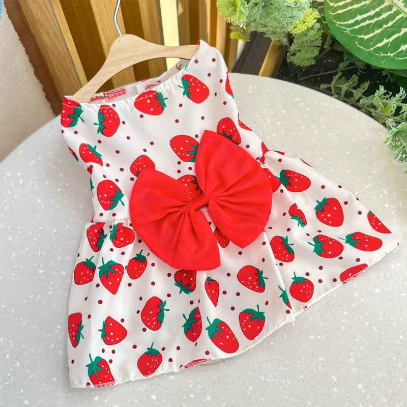 Puppy Princess Lace Dress For Small And Medium Dogs