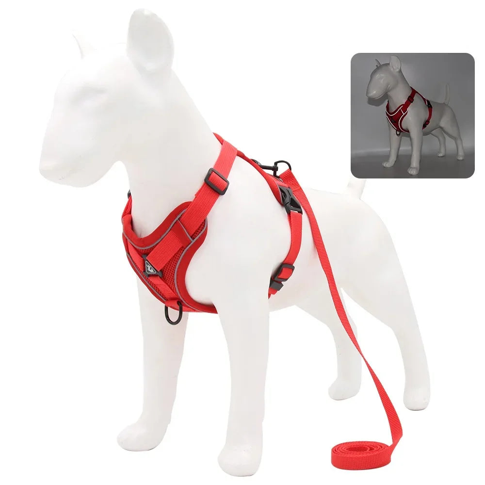 Dog Harness And Leash Set With Quick Release Padded Design