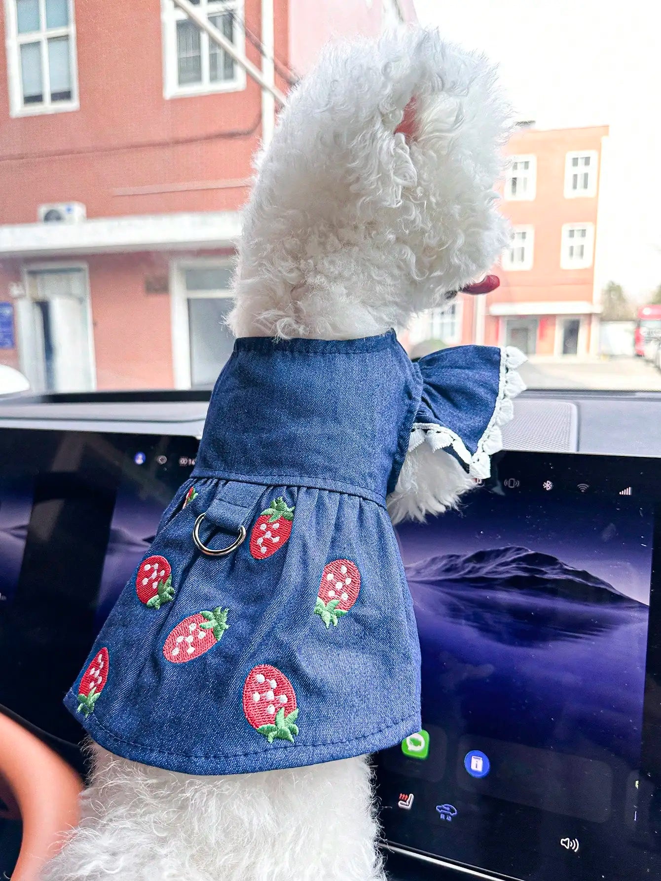 Pet Strawberry Dress for Small Dogs and Cats Cute Outfit