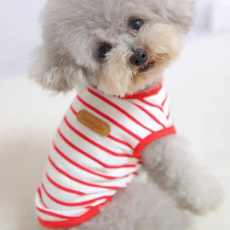 Puppy Sleeveless Vest For Small Dogs Pomeranian Chihuahua Spring Summer