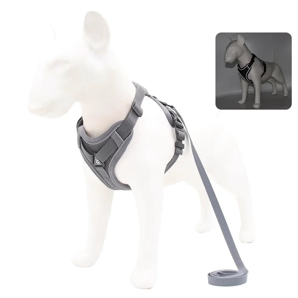Dog Harness And Leash Set With Quick Release Padded Design