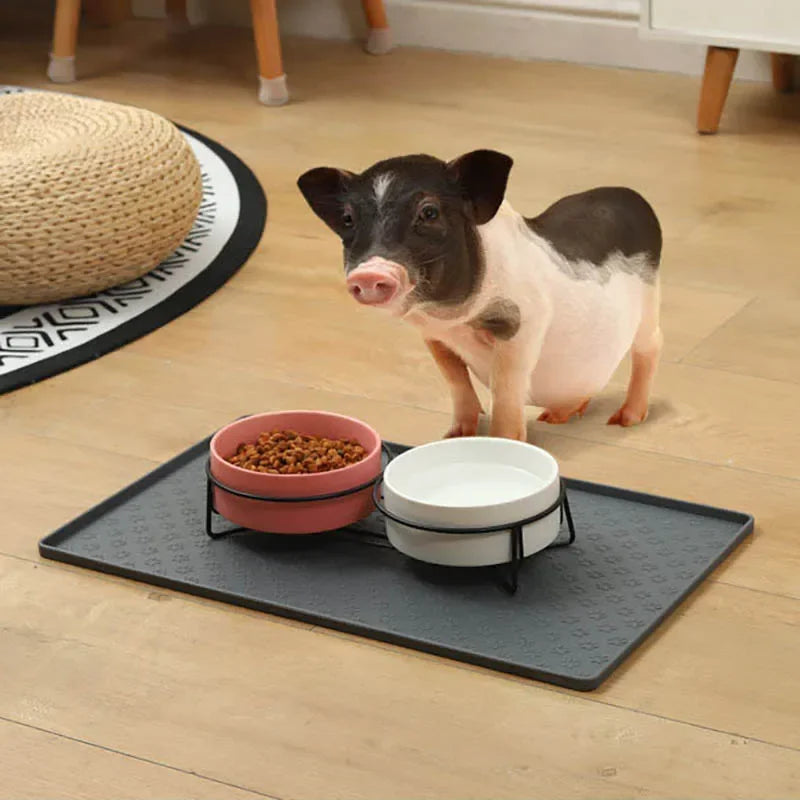 Silicone Pet Mat For Dogs And Cats Waterproof Easy Clean