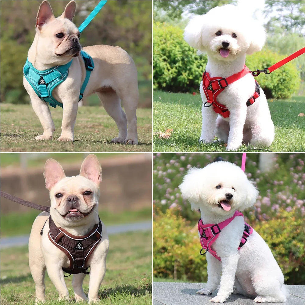 Dog Harness And Leash Set With Quick Release Padded Design