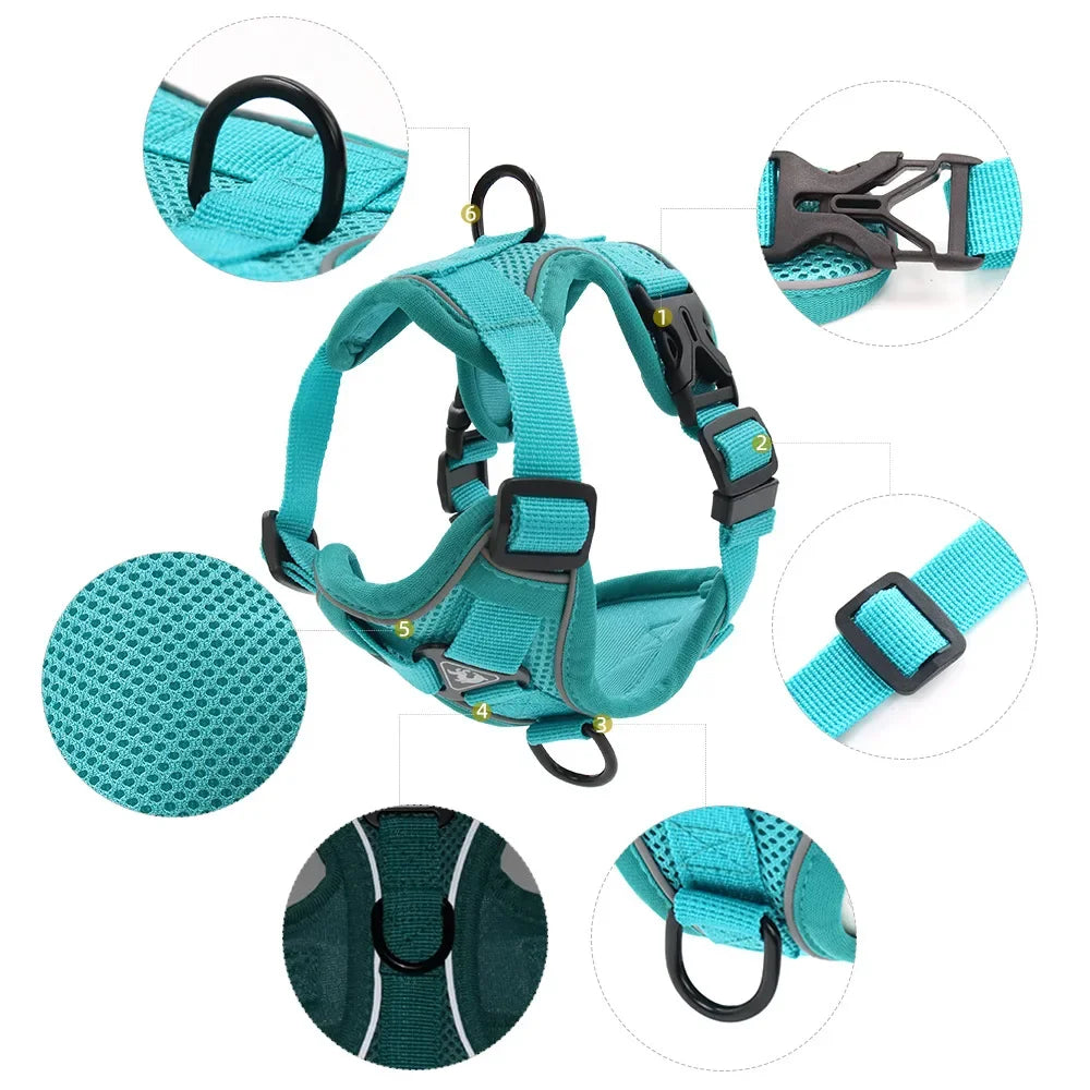 Dog Harness And Leash Set With Quick Release Padded Design
