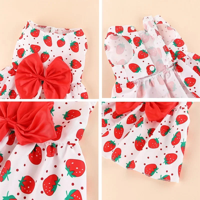 Puppy Princess Lace Dress For Small And Medium Dogs