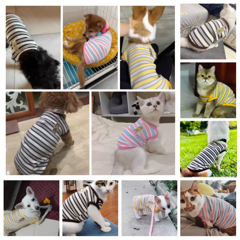Summer Cotton Bear Print Dog Shirt Vest For Small Dogs