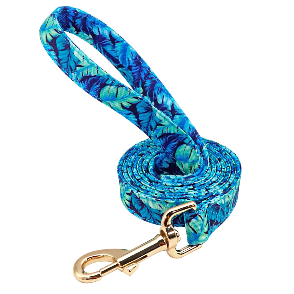 Personalized Nylon Dog Collar And Leash Set With Free Nameplate