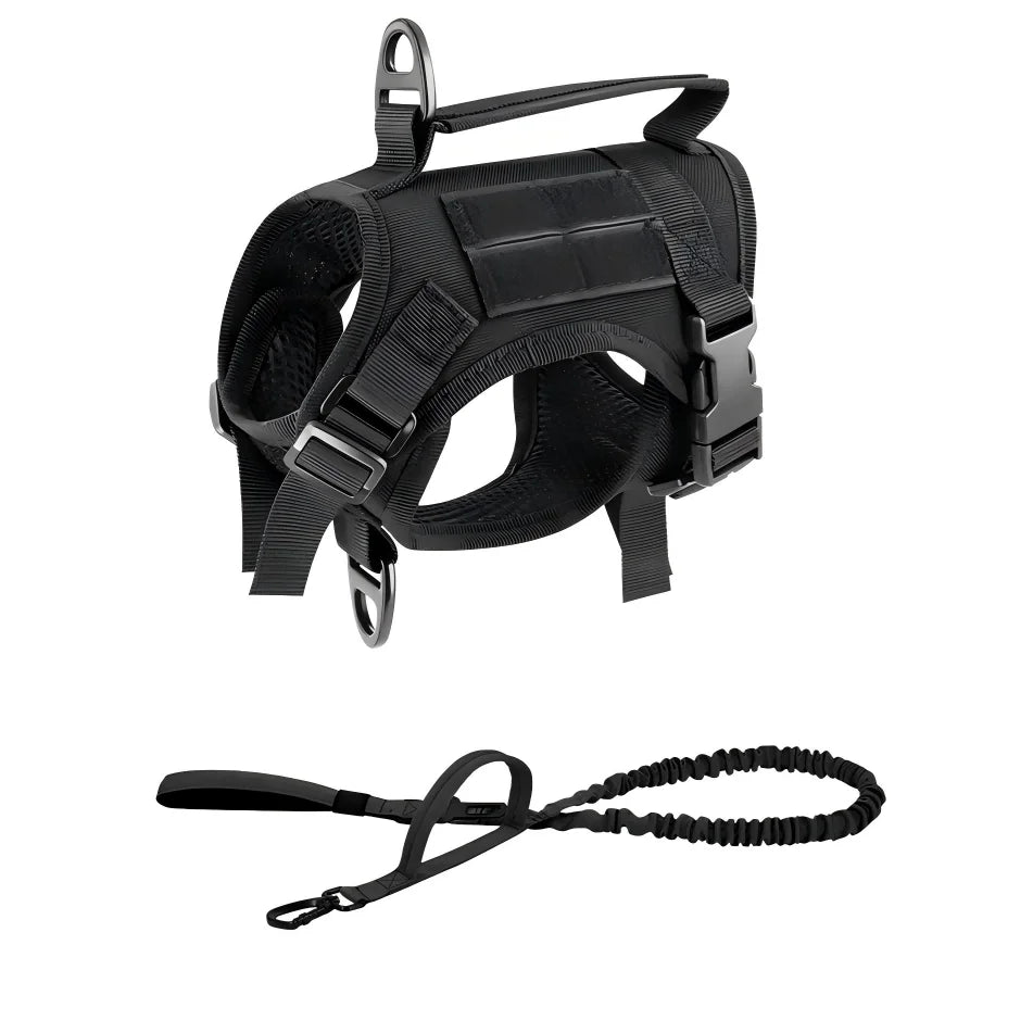 Cat Harness Vest And Leash Set Adjustable Escape Proof Mesh