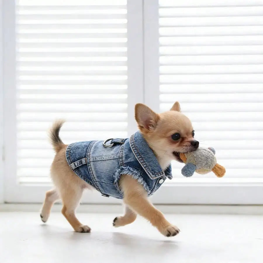 Denim Small Dog Harness Vest With Leash Clip For Spring