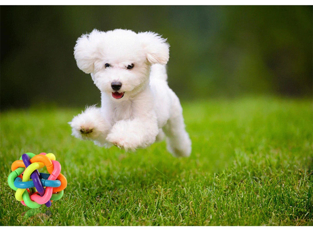 Woven Bell Dog Toy Bite Resistant Rubber Chew Ball