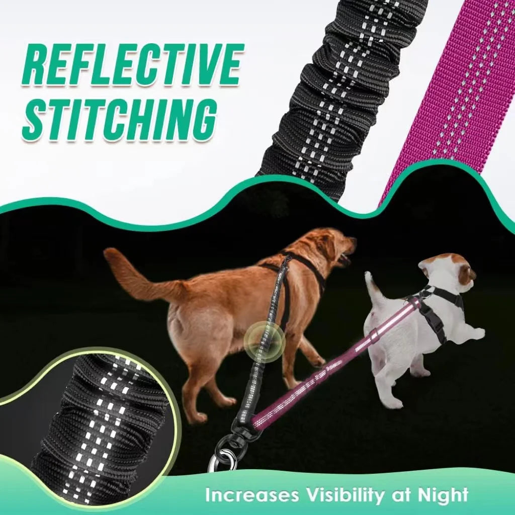 Dual Dog Leash Attachment With Shock Absorbing Bungee Adjustable