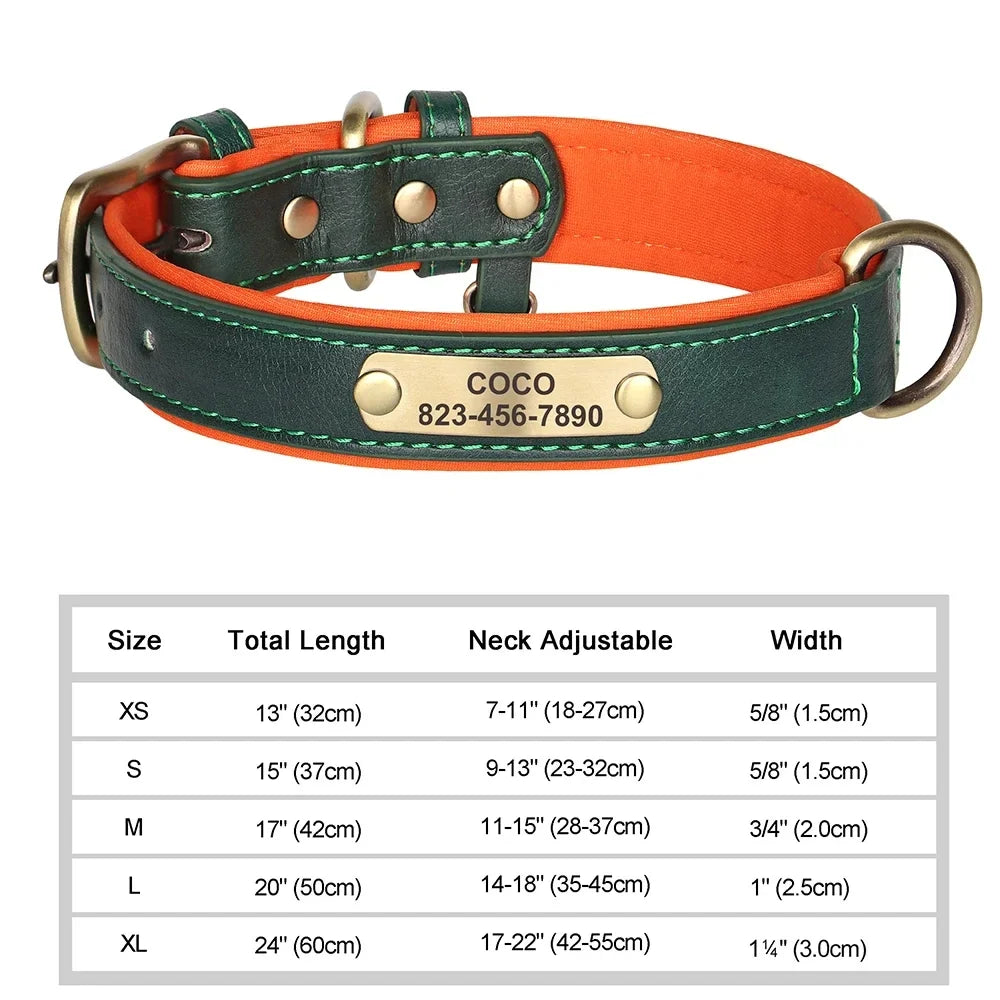 COOYOMOO Personalized Leather ID Nameplate Dog Collar Padded