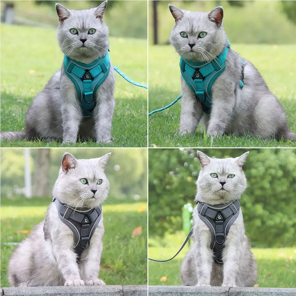 Dog Harness And Leash Set With Quick Release Padded Design