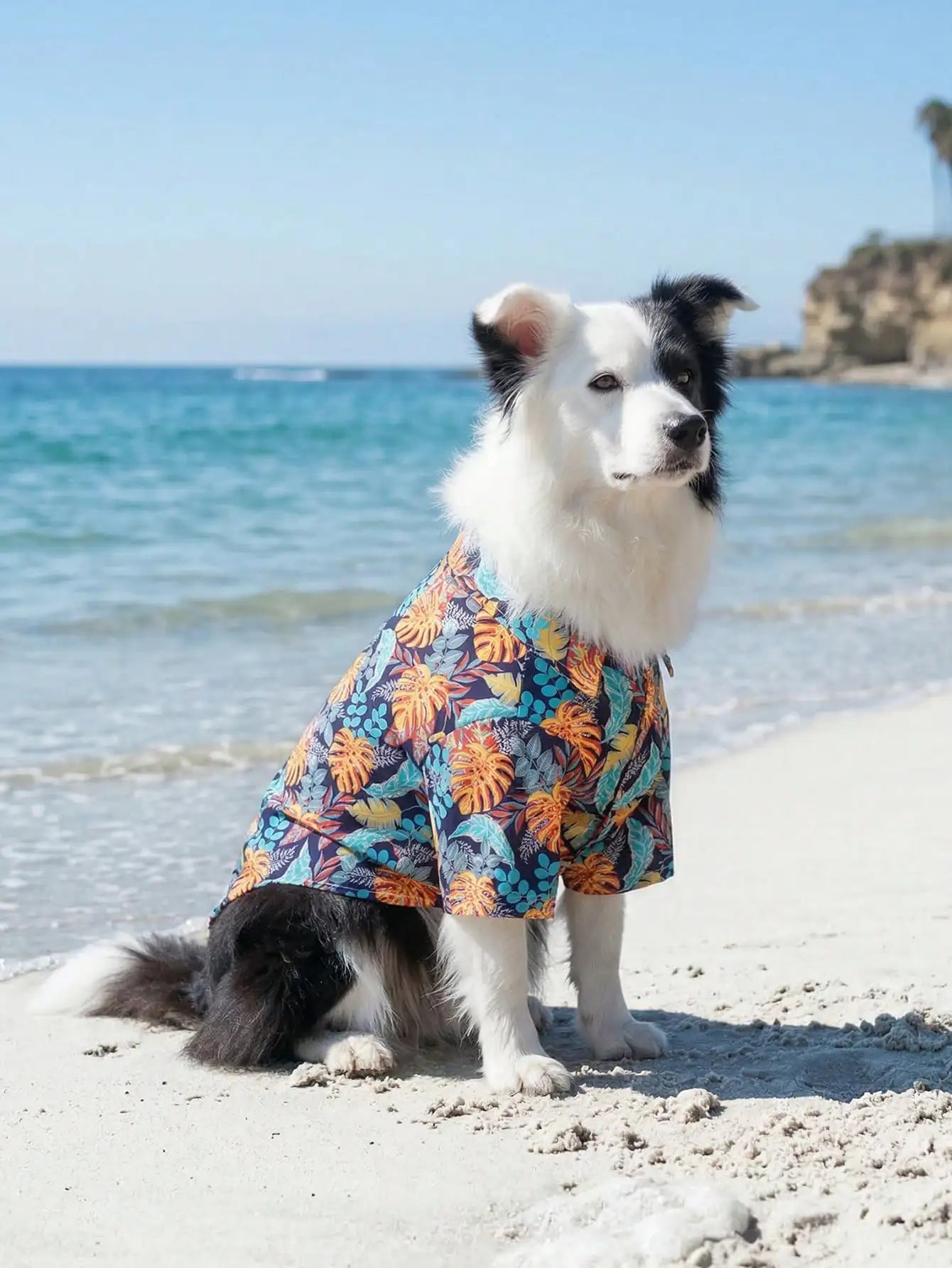 Breathable Lightweight Summer Dog Shirt For Comfort