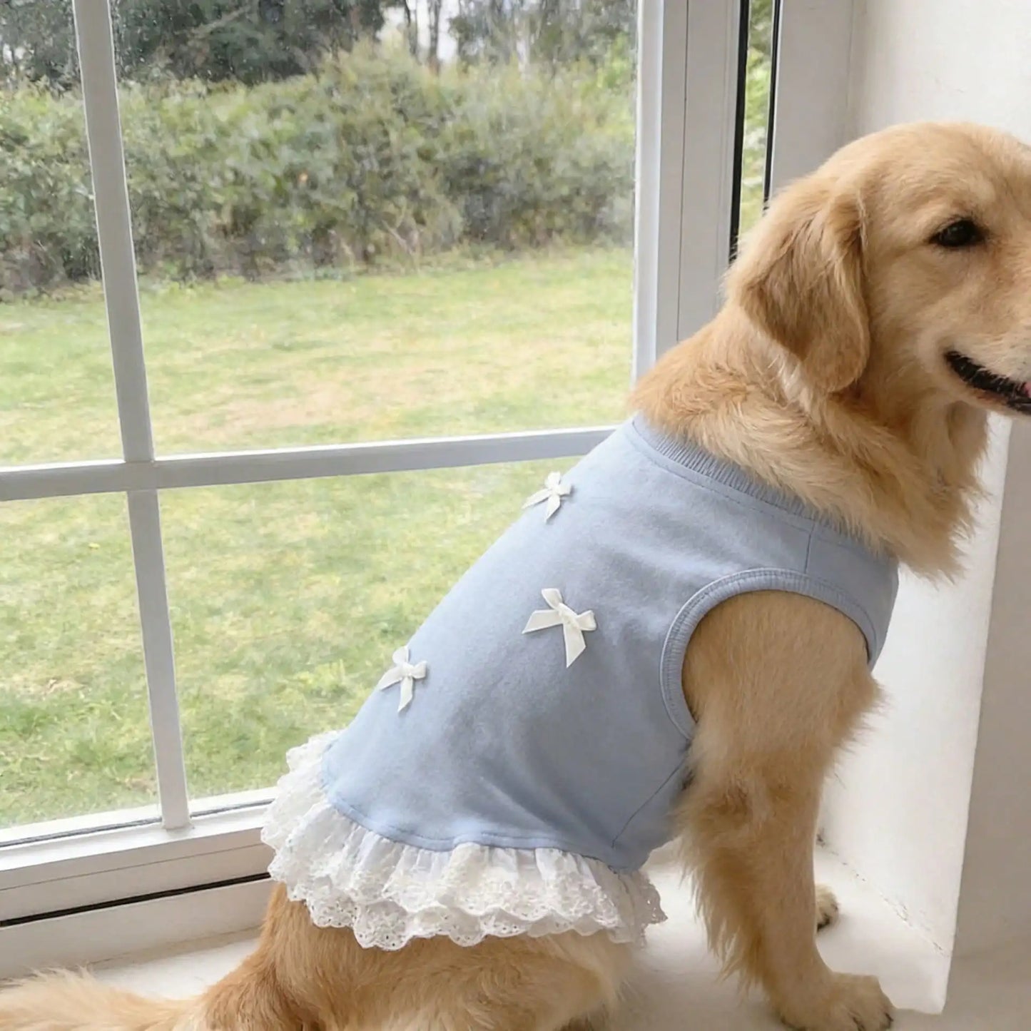 Breathable Lace Bowknot Dog Shirt Vest For Golden Retrievers