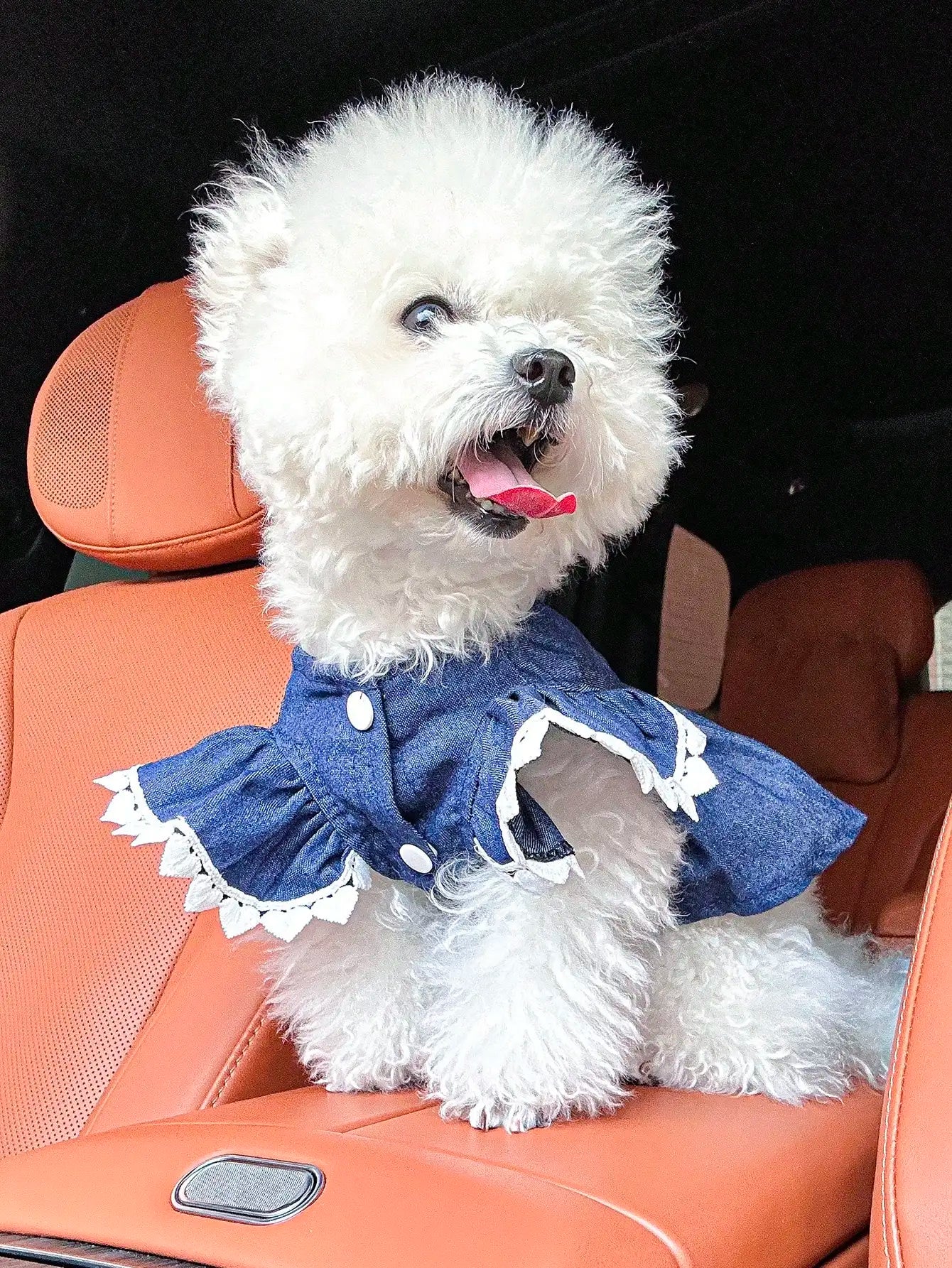 Pet Strawberry Dress for Small Dogs and Cats Cute Outfit