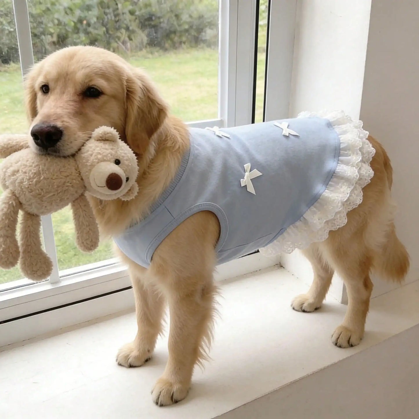 Breathable Lace Bowknot Dog Shirt Vest For Golden Retrievers
