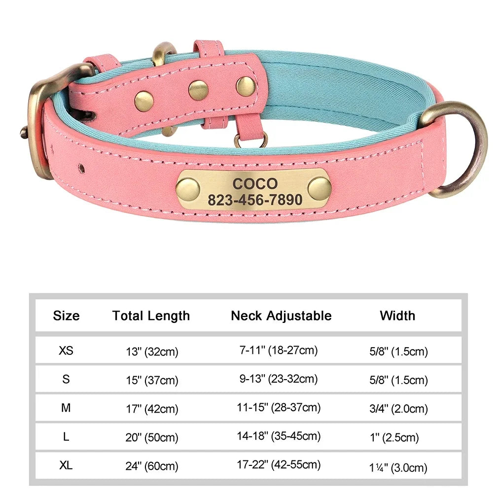 COOYOMOO Personalized Leather ID Nameplate Dog Collar Padded
