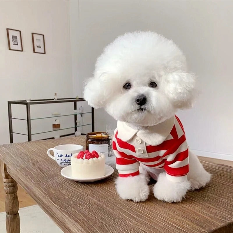 Summer Polo Shirt For Dogs Bichon Frise Chihuahua Stripe Vest