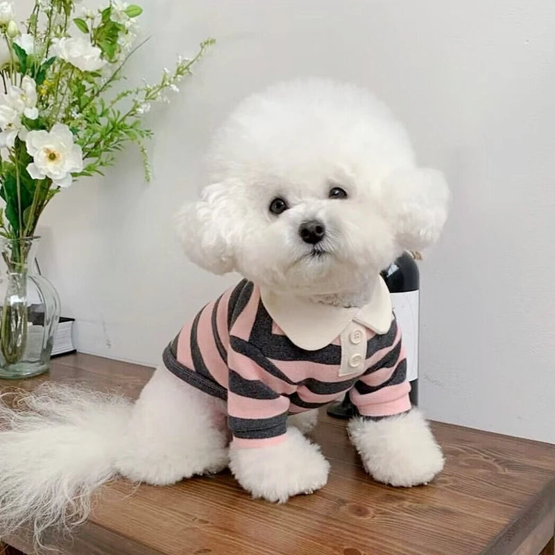 Summer Polo Shirt For Dogs Bichon Frise Chihuahua Stripe Vest