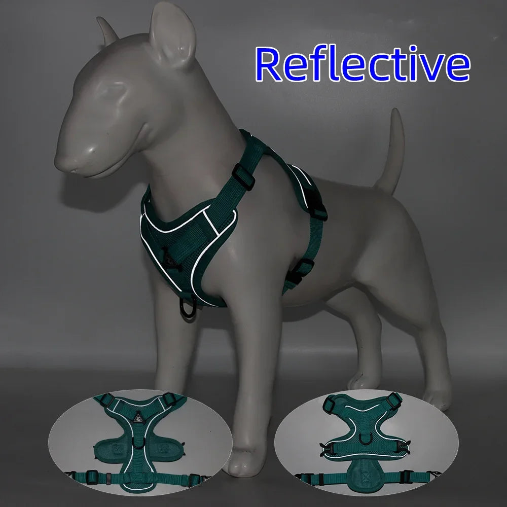 Dog Harness And Leash Set With Quick Release Padded Design
