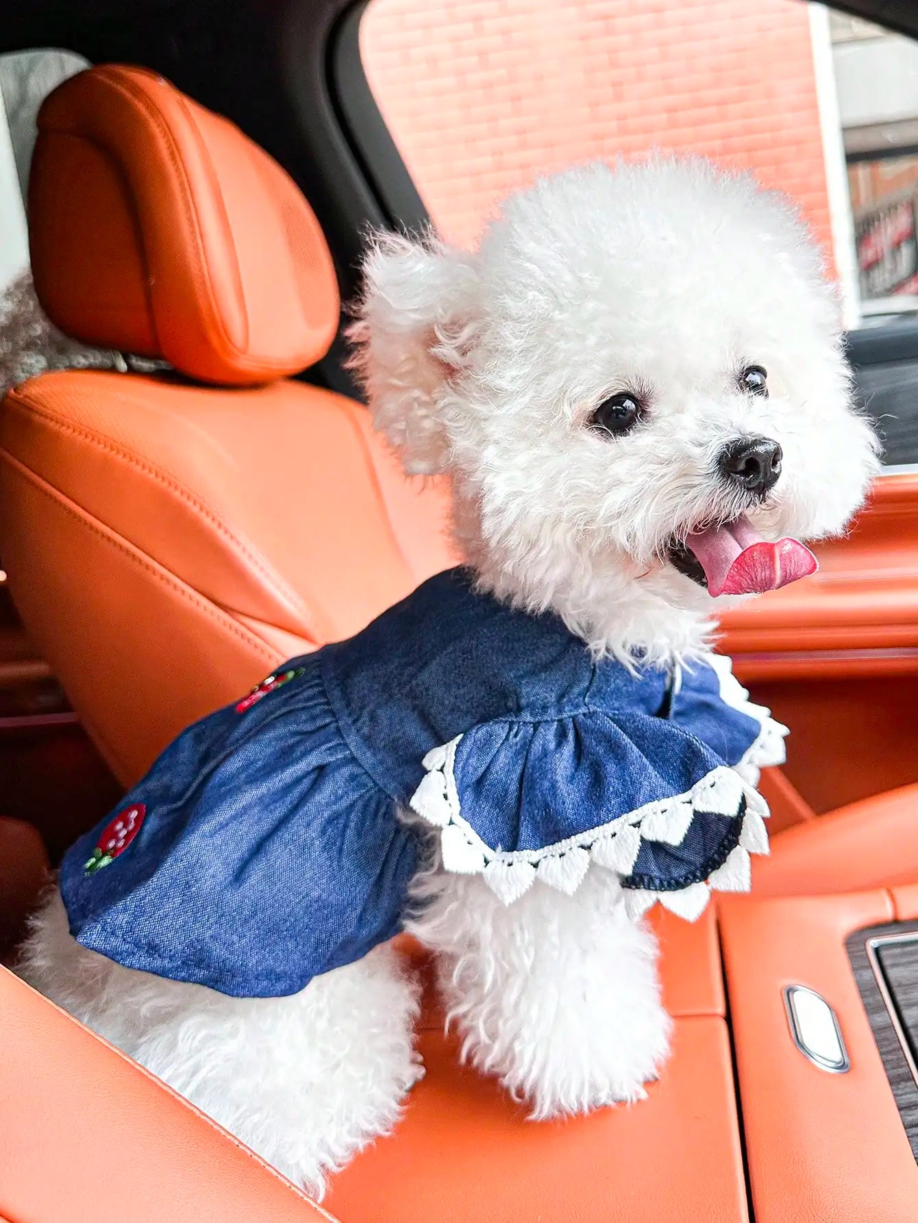 Pet Strawberry Dress for Small Dogs and Cats Cute Outfit