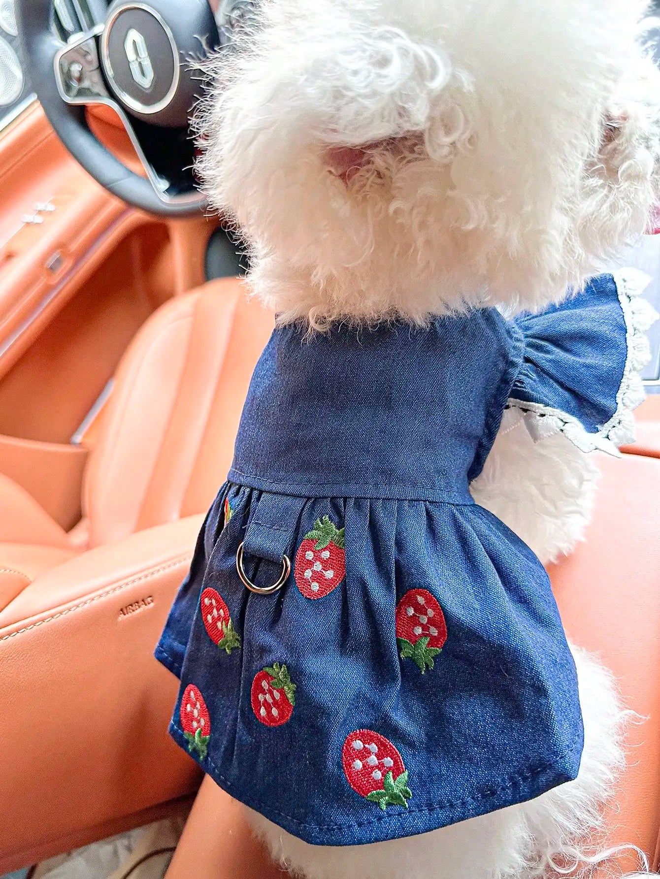 Pet Strawberry Dress for Small Dogs and Cats Cute Outfit