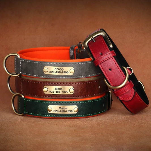 COOYOMOO Personalized Leather ID Nameplate Dog Collar Padded