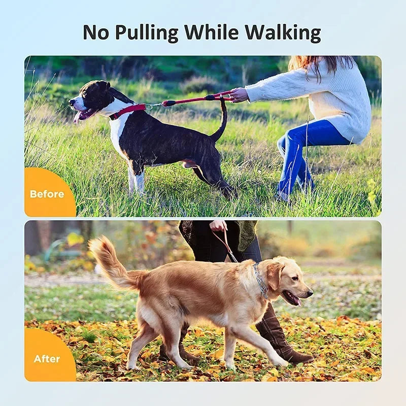 Pinch Dog Training Collar With Rubber Tips Stainless Steel