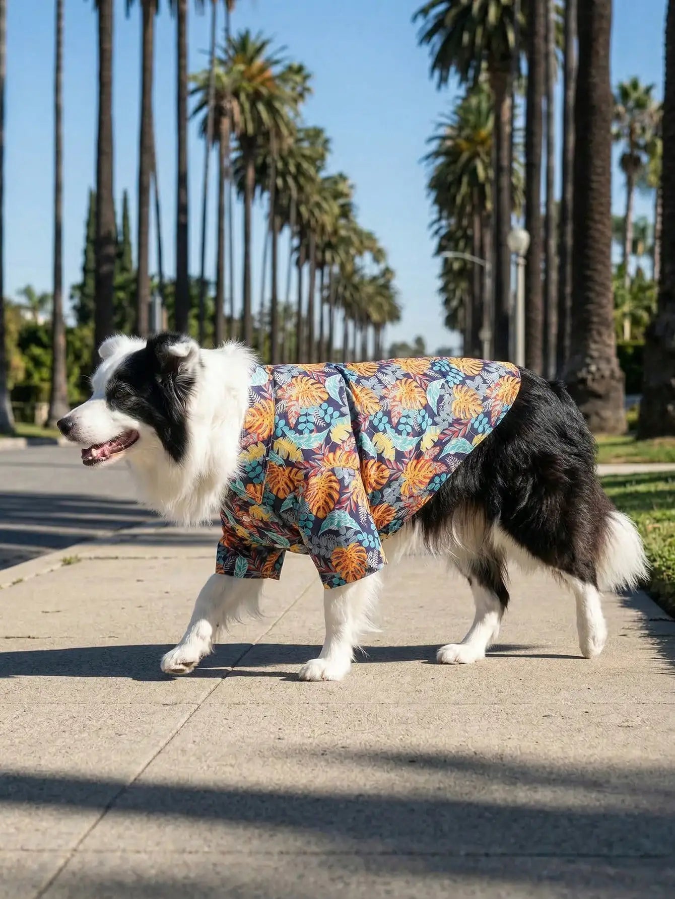 Breathable Lightweight Summer Dog Shirt For Comfort