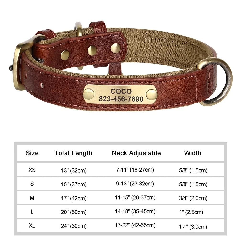 COOYOMOO Personalized Leather ID Nameplate Dog Collar Padded