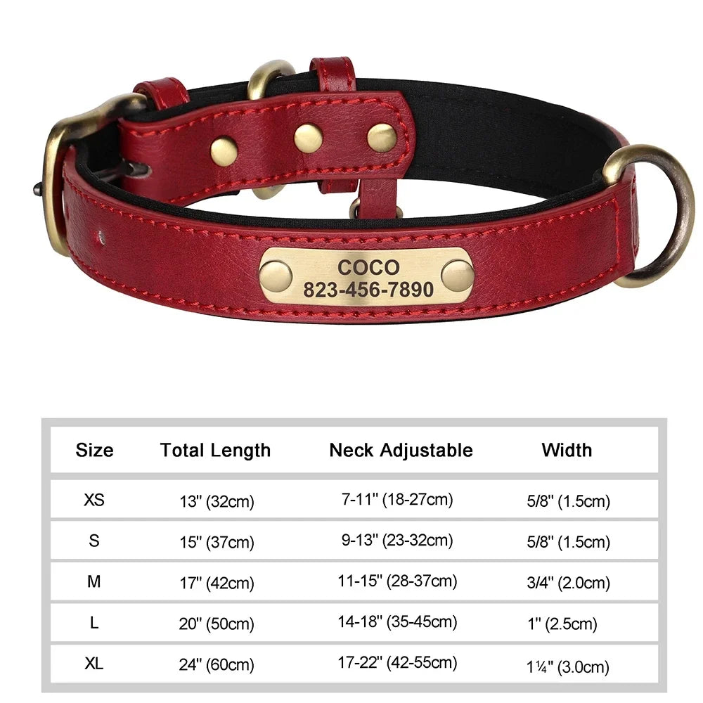 COOYOMOO Personalized Leather ID Nameplate Dog Collar Padded
