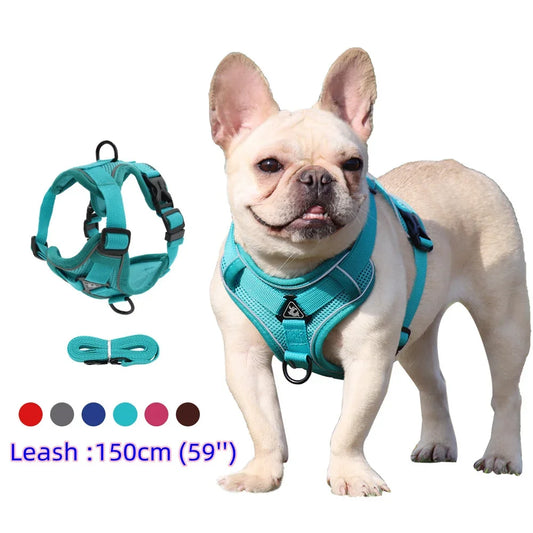 Dog Harness And Leash Set With Quick Release Padded Design