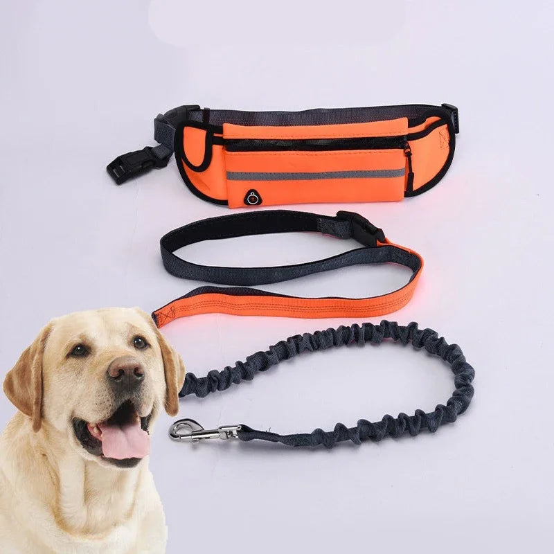 Booteely Hands Free Retractable Dog Leash With Reflective Waist Bag