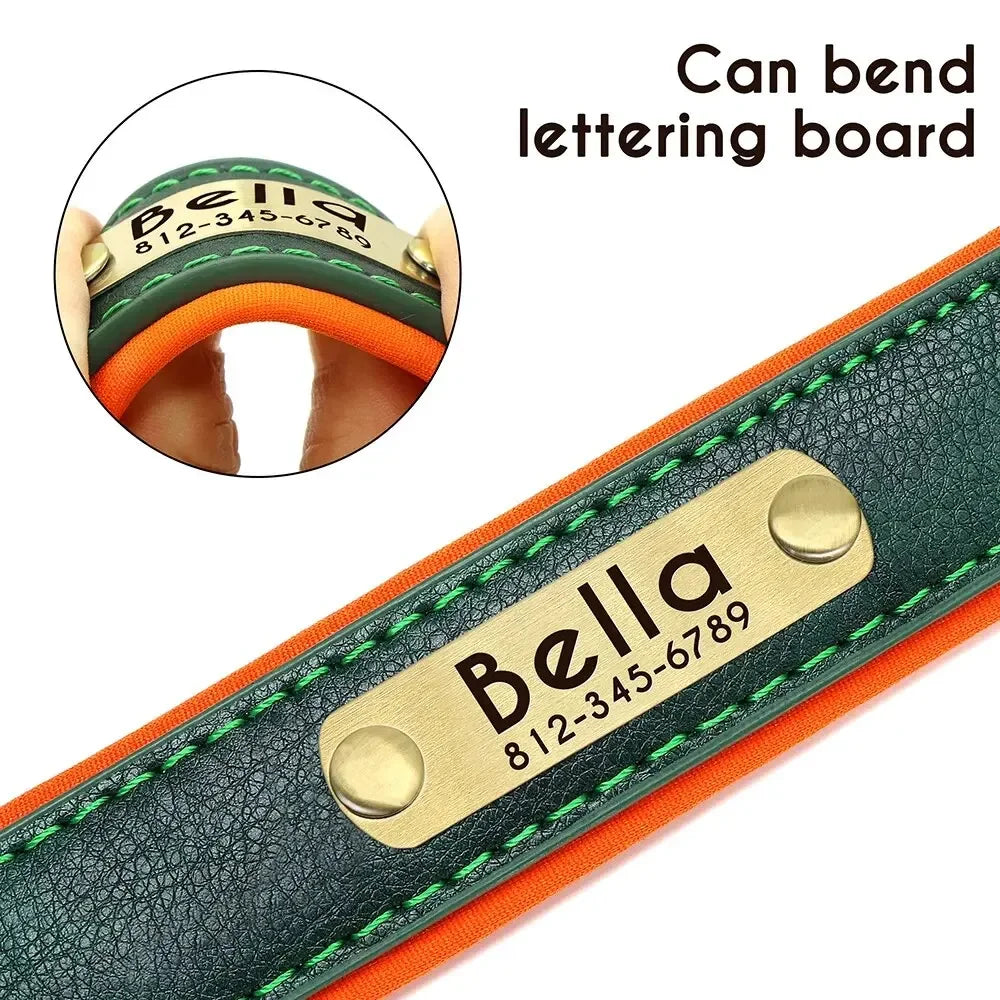 COOYOMOO Personalized Leather ID Nameplate Dog Collar Padded
