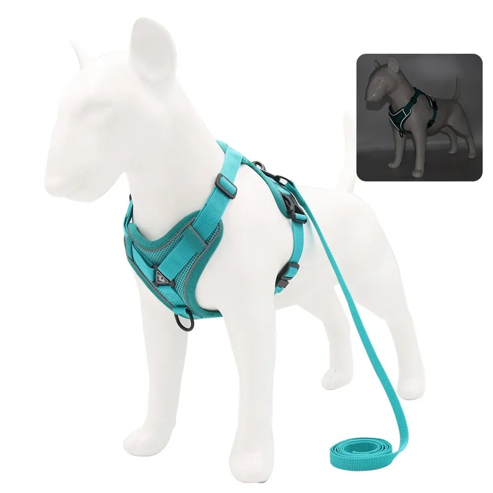 Dog Harness And Leash Set With Quick Release Padded Design