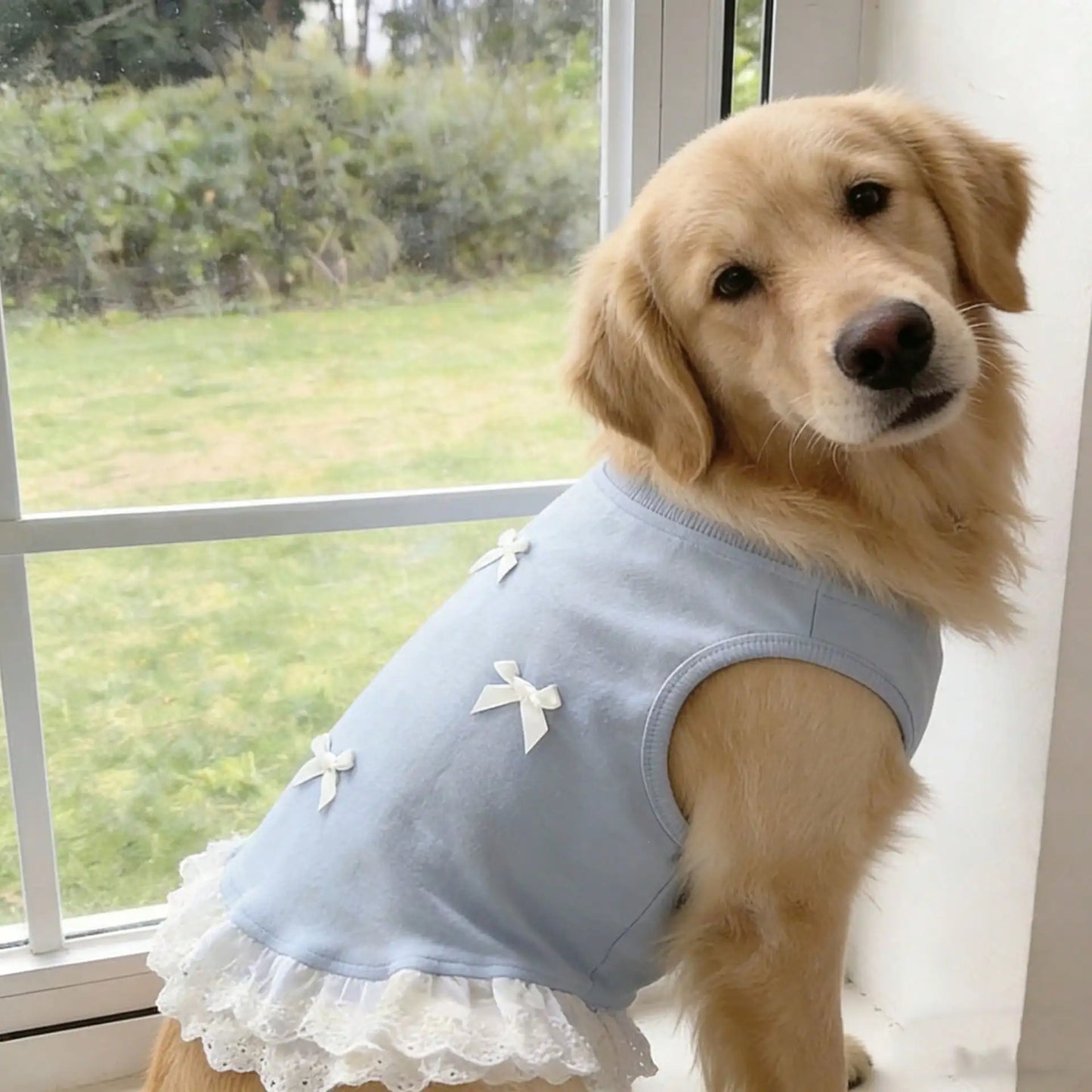 Breathable Lace Bowknot Dog Shirt Vest For Golden Retrievers