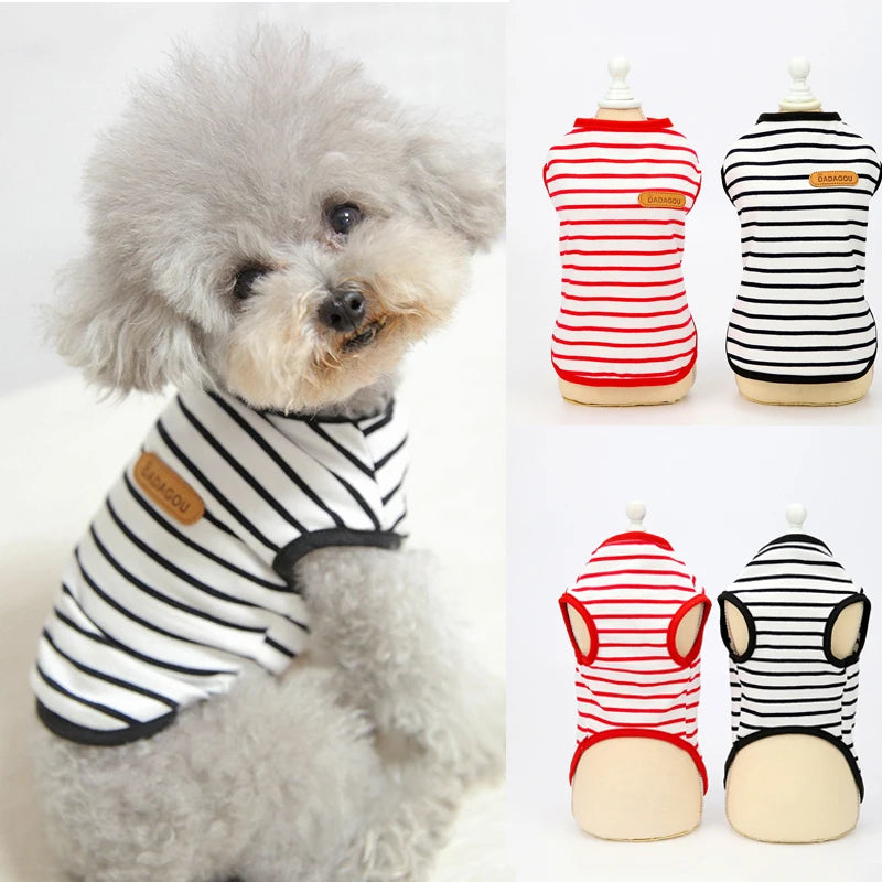 Puppy Sleeveless Vest For Small Dogs Pomeranian Chihuahua Spring Summer