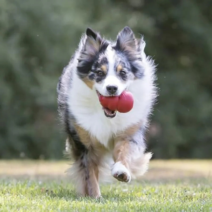 Classic Stuffable Dog Toy With Treat Filling And Chew Fun