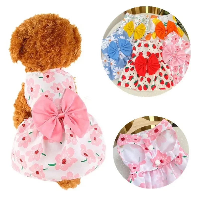 Puppy Princess Lace Dress For Small And Medium Dogs