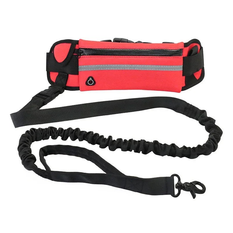 Booteely Hands Free Retractable Dog Leash With Reflective Waist Bag