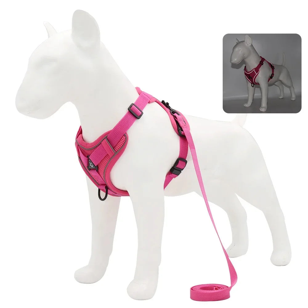 Dog Harness And Leash Set With Quick Release Padded Design