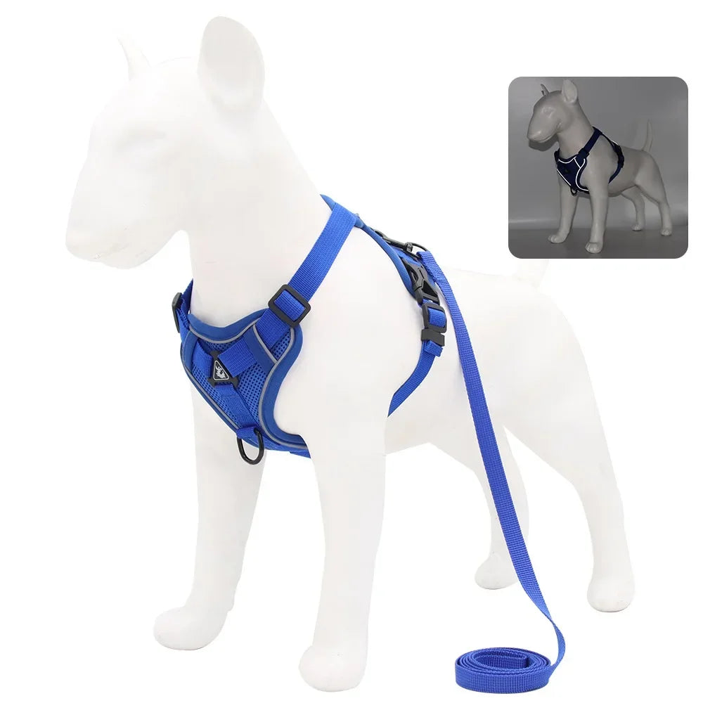 Dog Harness And Leash Set With Quick Release Padded Design