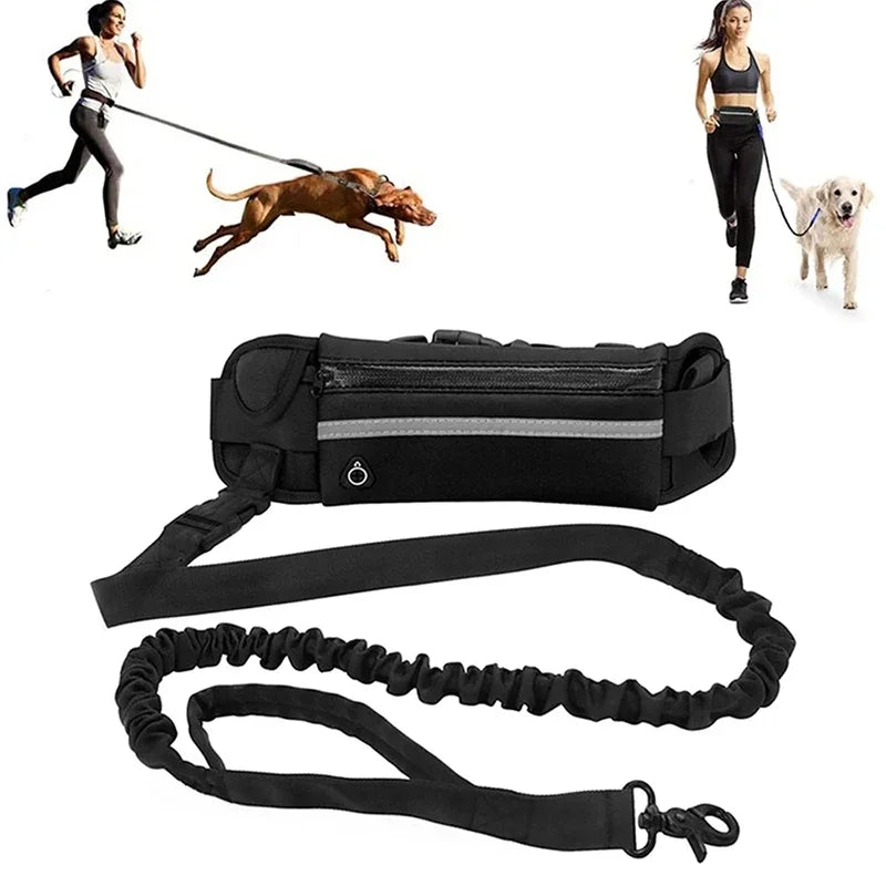 Booteely Hands Free Retractable Dog Leash With Reflective Waist Bag