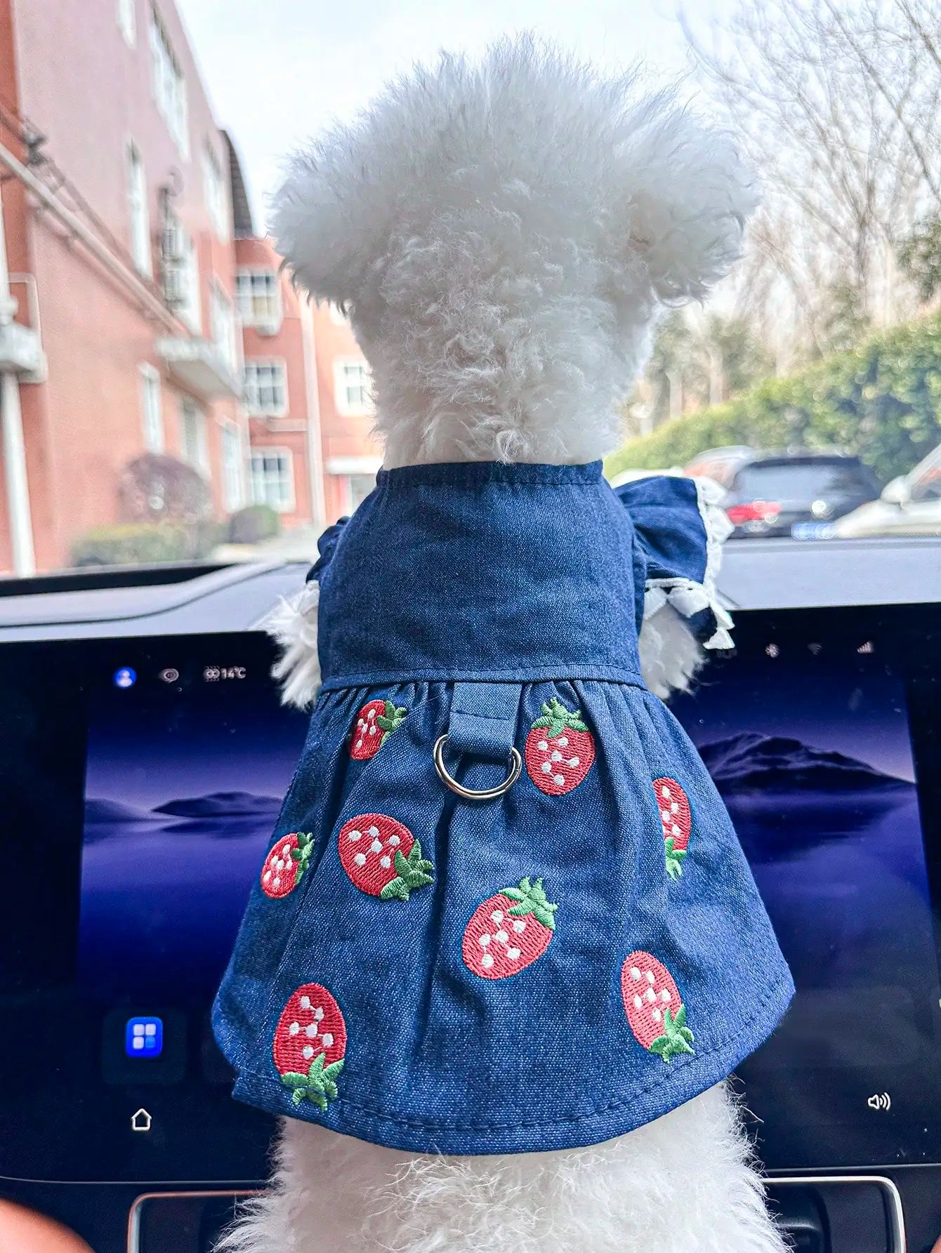 Pet Strawberry Dress for Small Dogs and Cats Cute Outfit